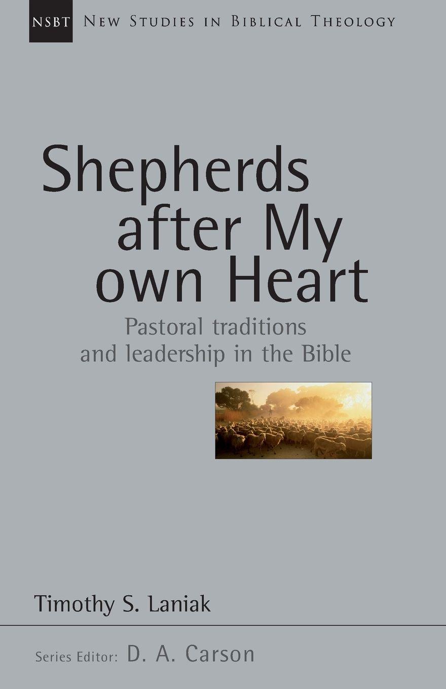 Vorderes Coverbild Shepherds After My Own Heart