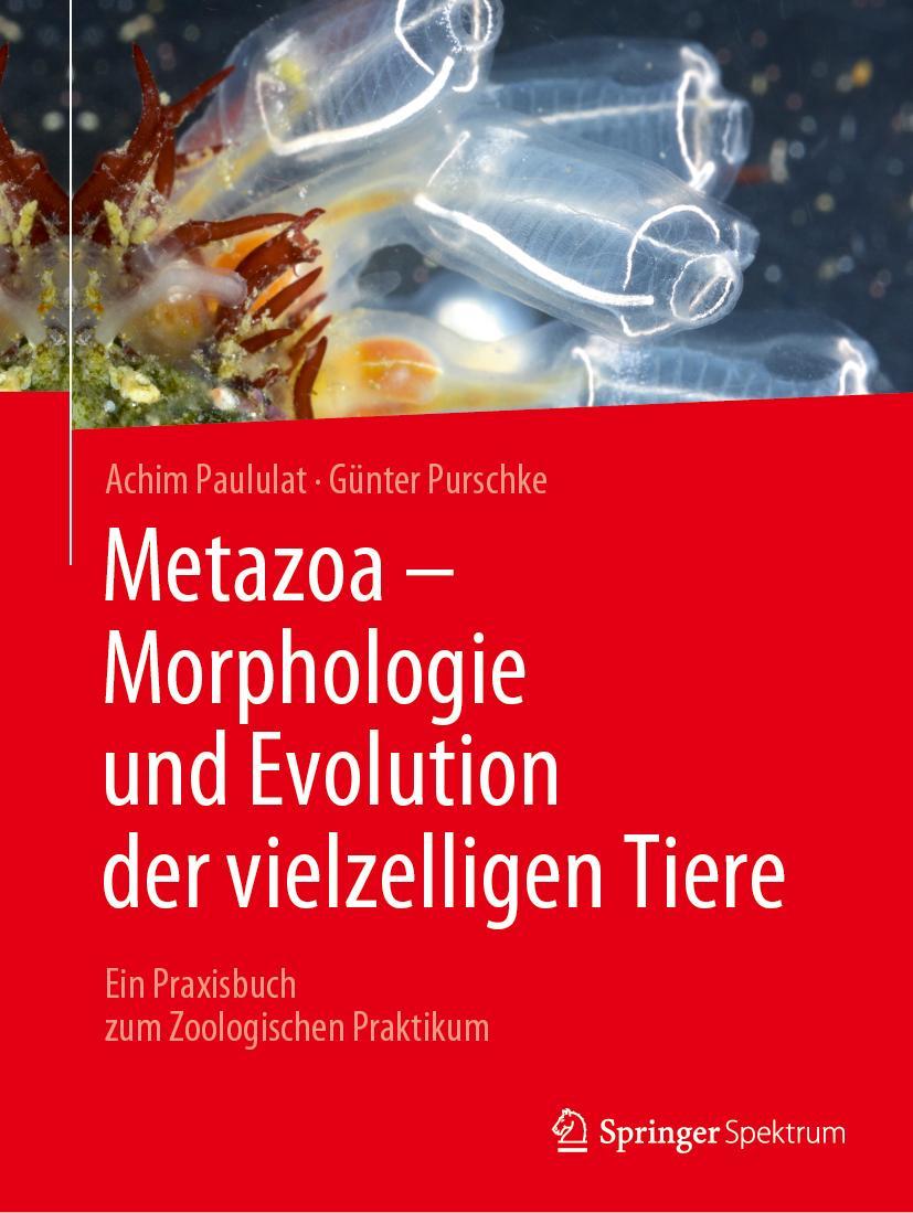 Vorderes Coverbild Metazoa - Morphologie und Evolution der vielzelligen Tiere