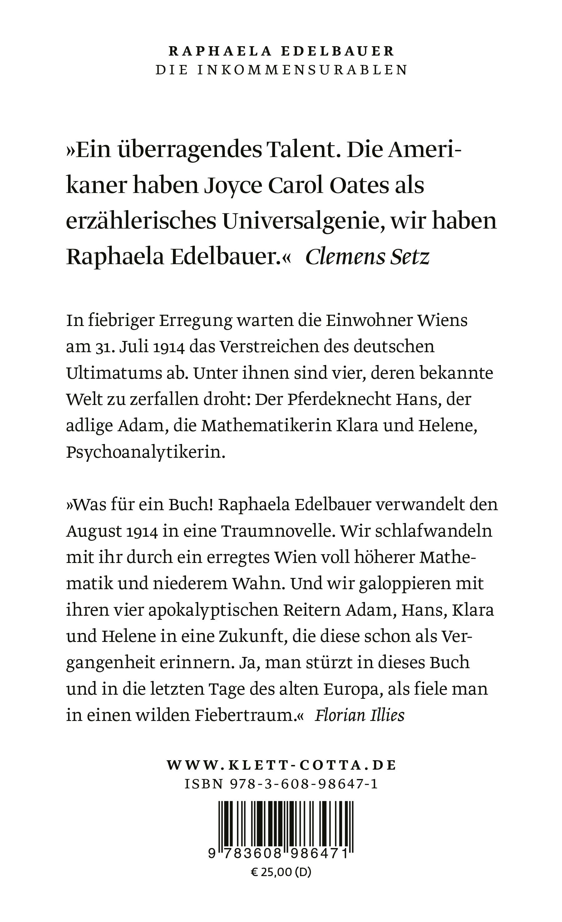 Rückseitencover Die Inkommensurablen
