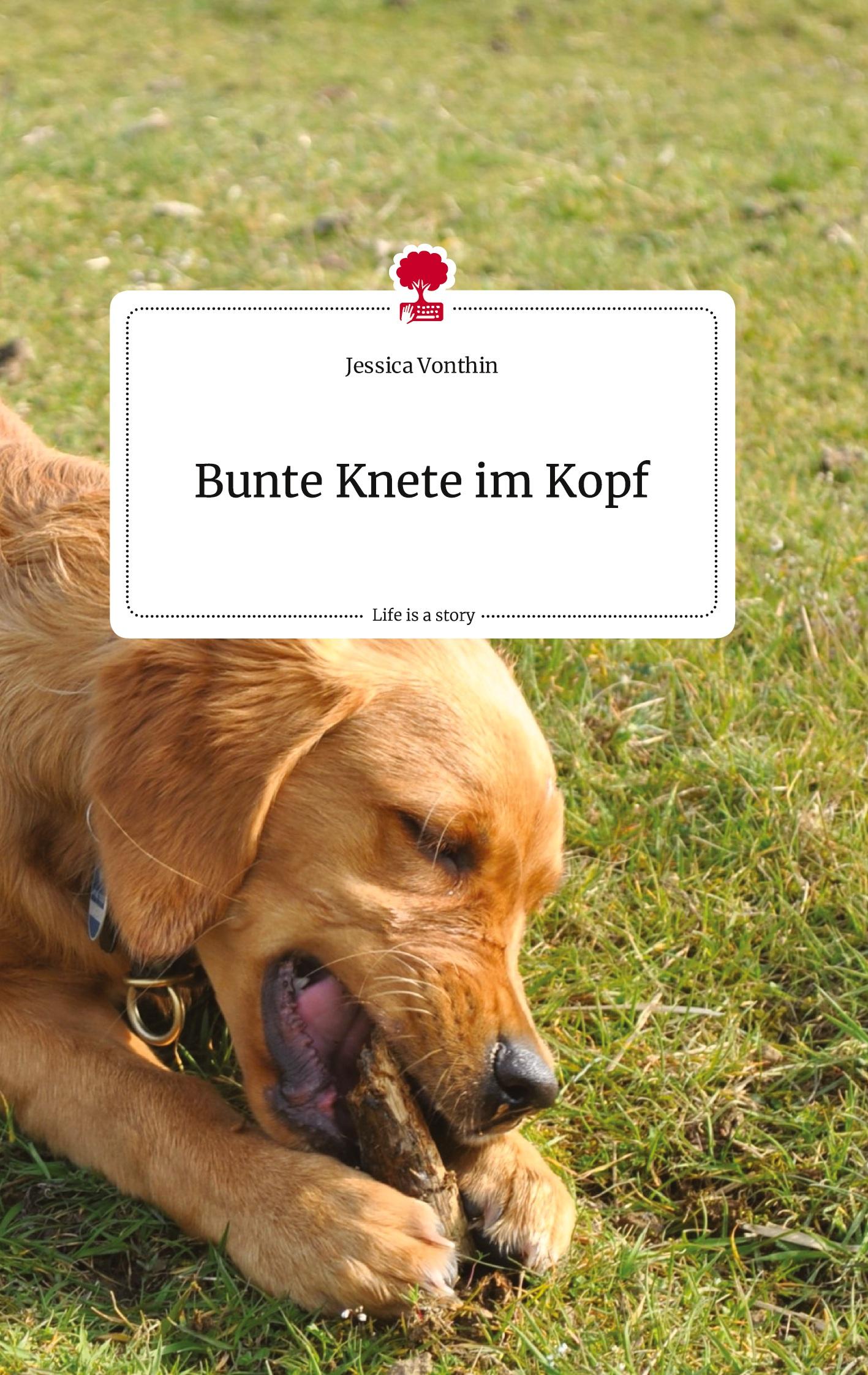 Vorderes Coverbild Bunte Knete im Kopf. Life is a Story - story.one