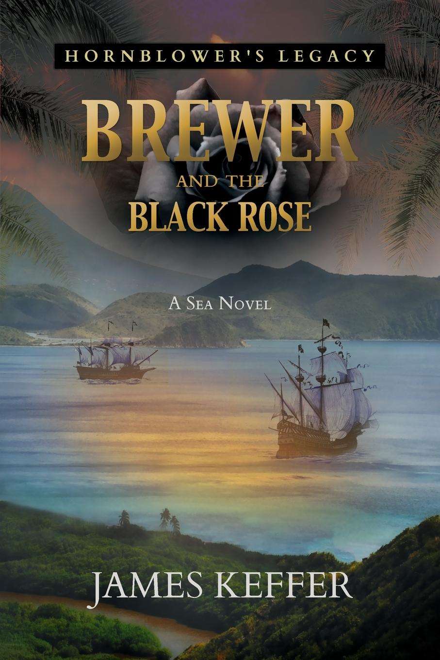 Vorderes Coverbild Brewer and The Black Rose