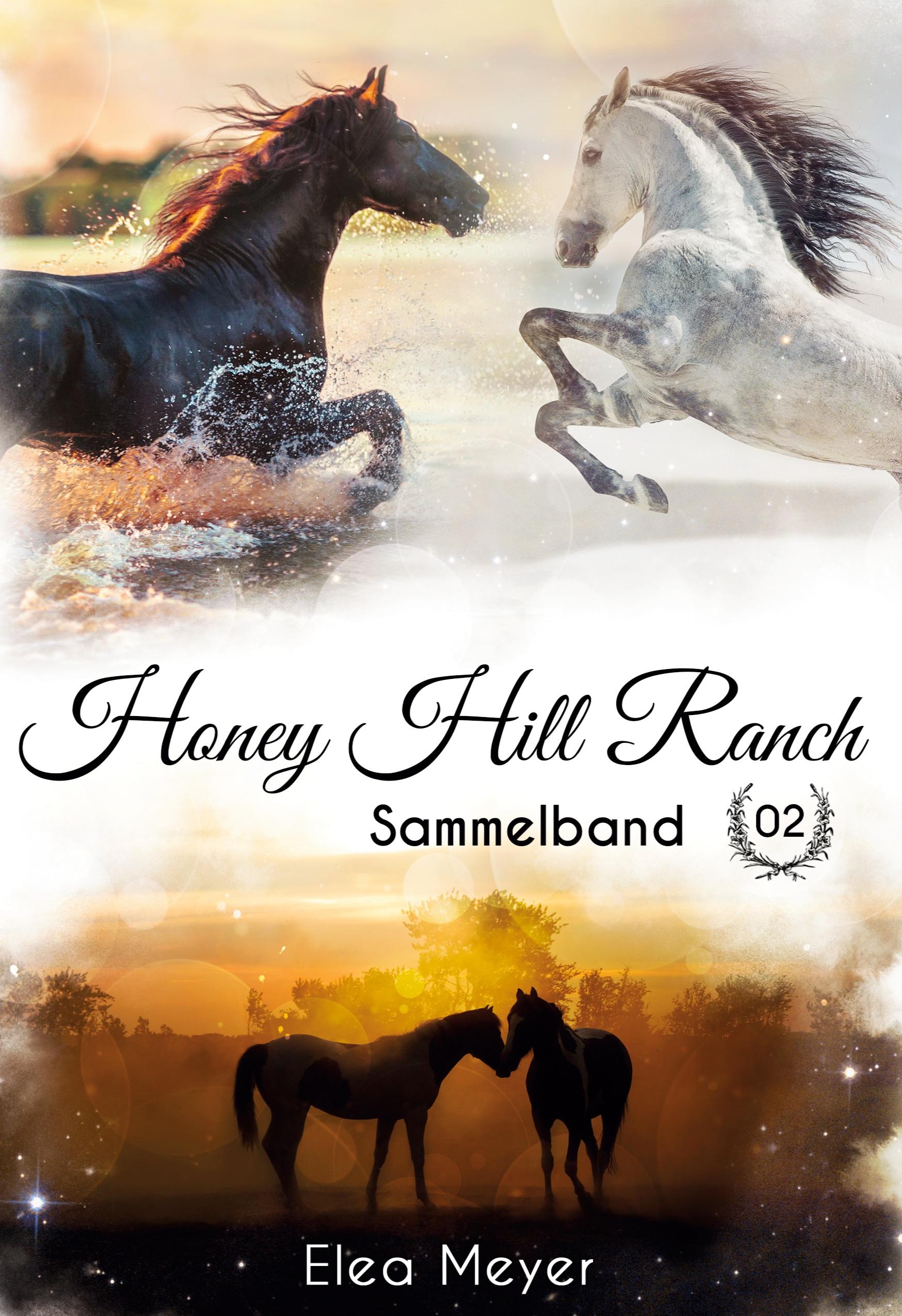 Vorderes Coverbild Honey Hill Ranch