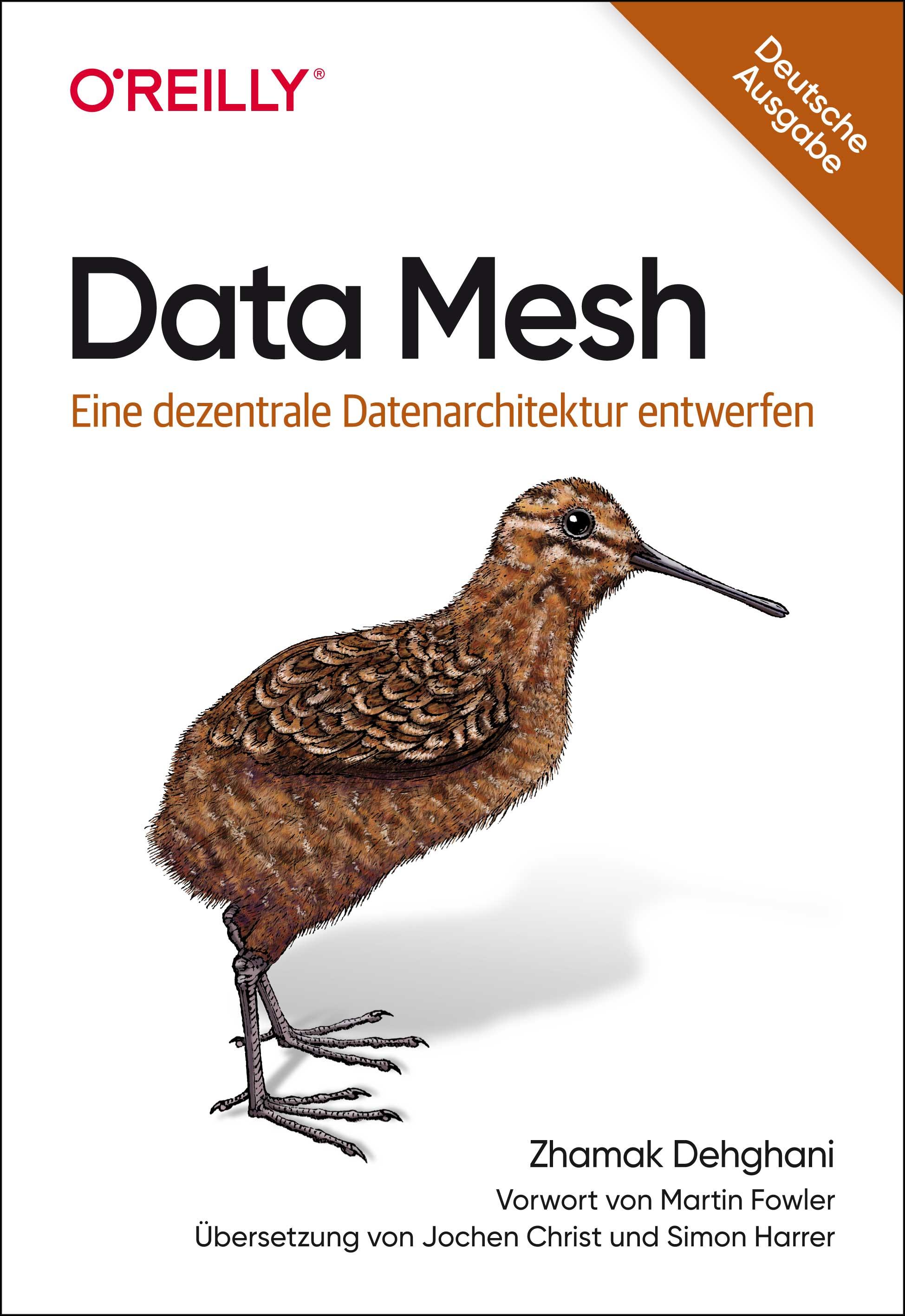 Vorderes Coverbild Data Mesh