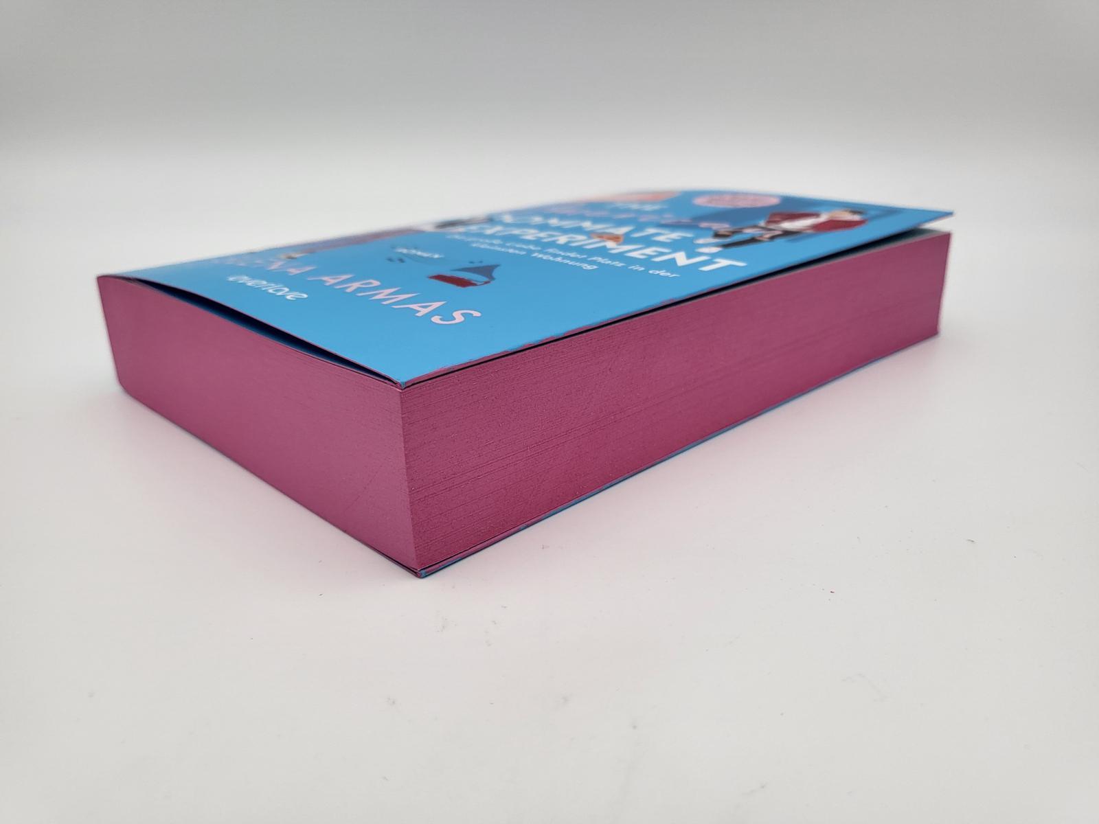 Beispielinhalt (Bild) The American Roommate Experiment - Die große Liebe findet Platz in der kleinsten Wohnung