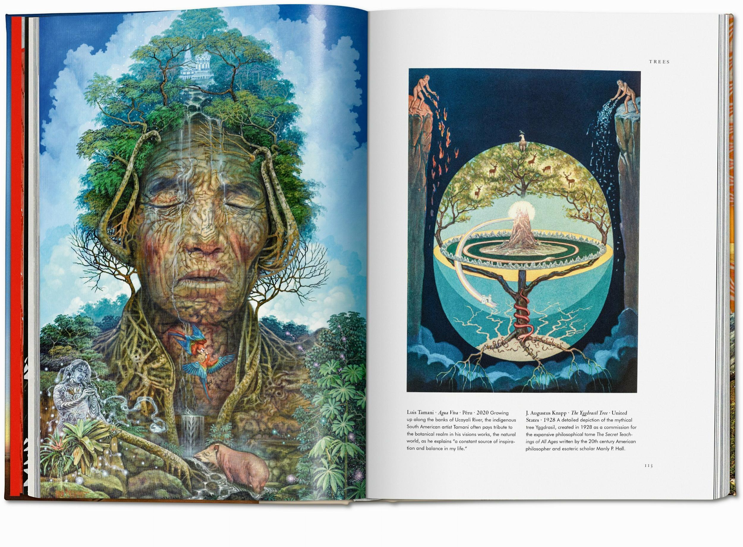 Beispielinhalt (Bild) Pflanzen-Magie. Bibliothek der Esoterik