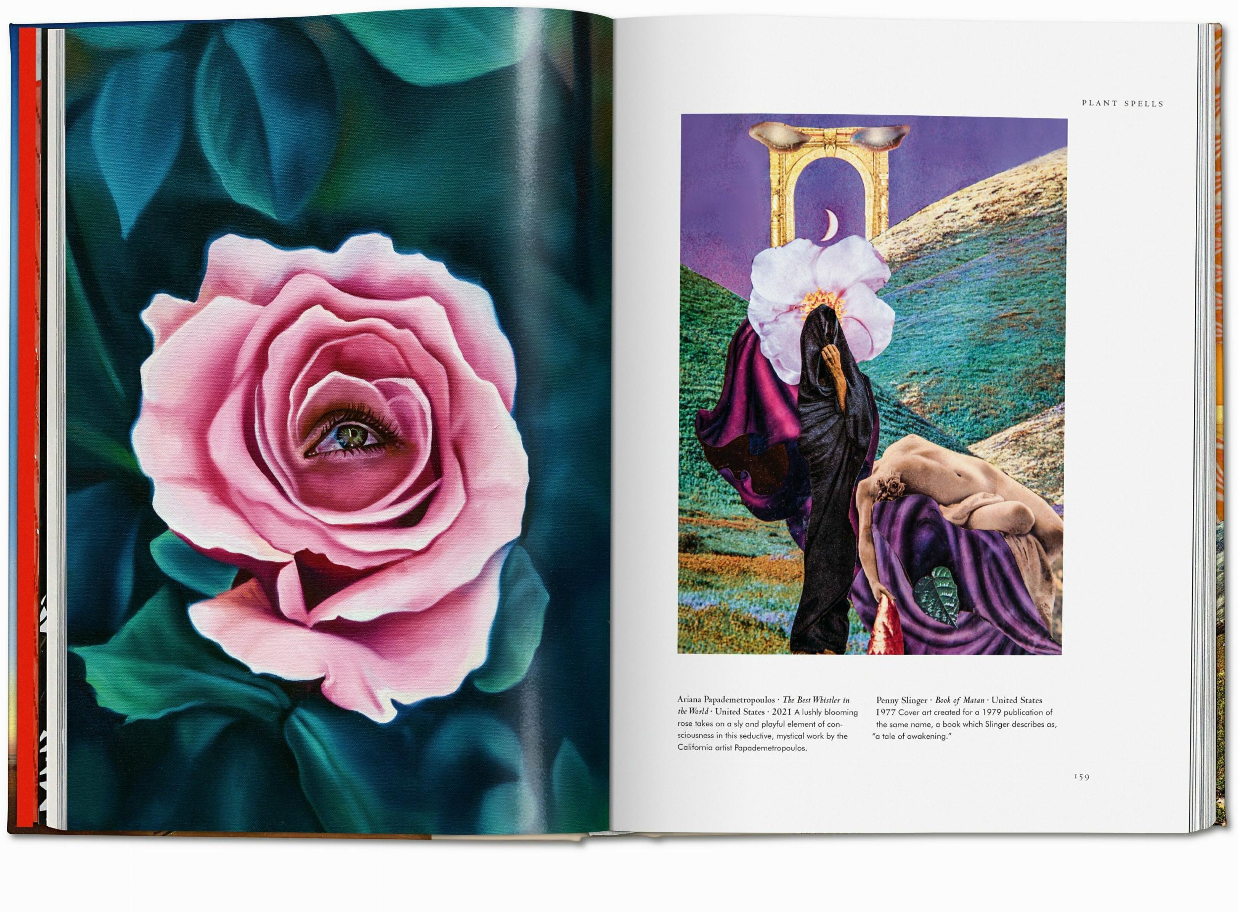 Beispielinhalt (Bild) Pflanzen-Magie. Bibliothek der Esoterik