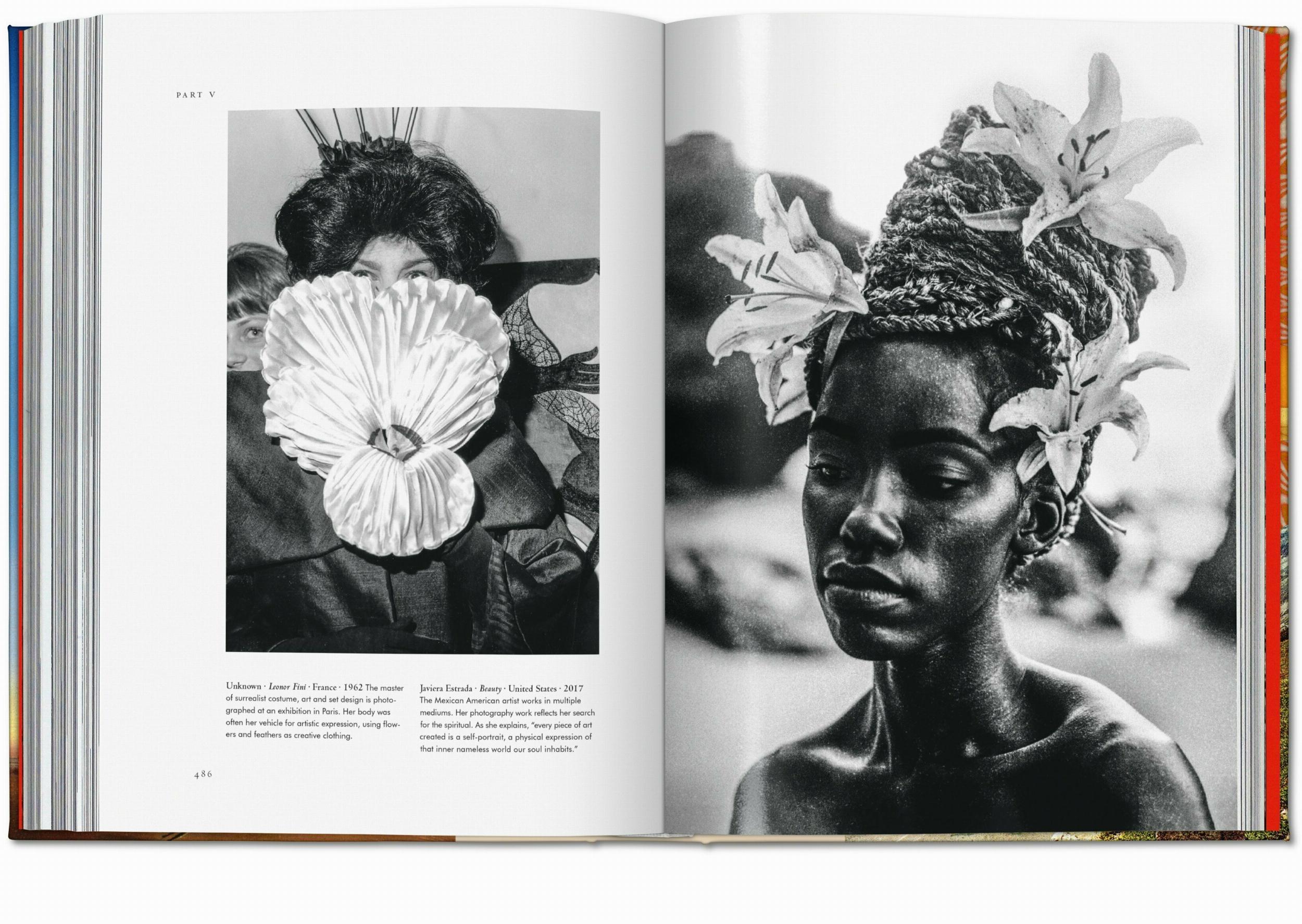 Beispielinhalt (Bild) Pflanzen-Magie. Bibliothek der Esoterik