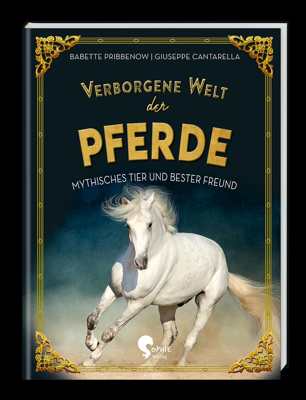 Vorderes Coverbild Verborgene Welt der Pferde