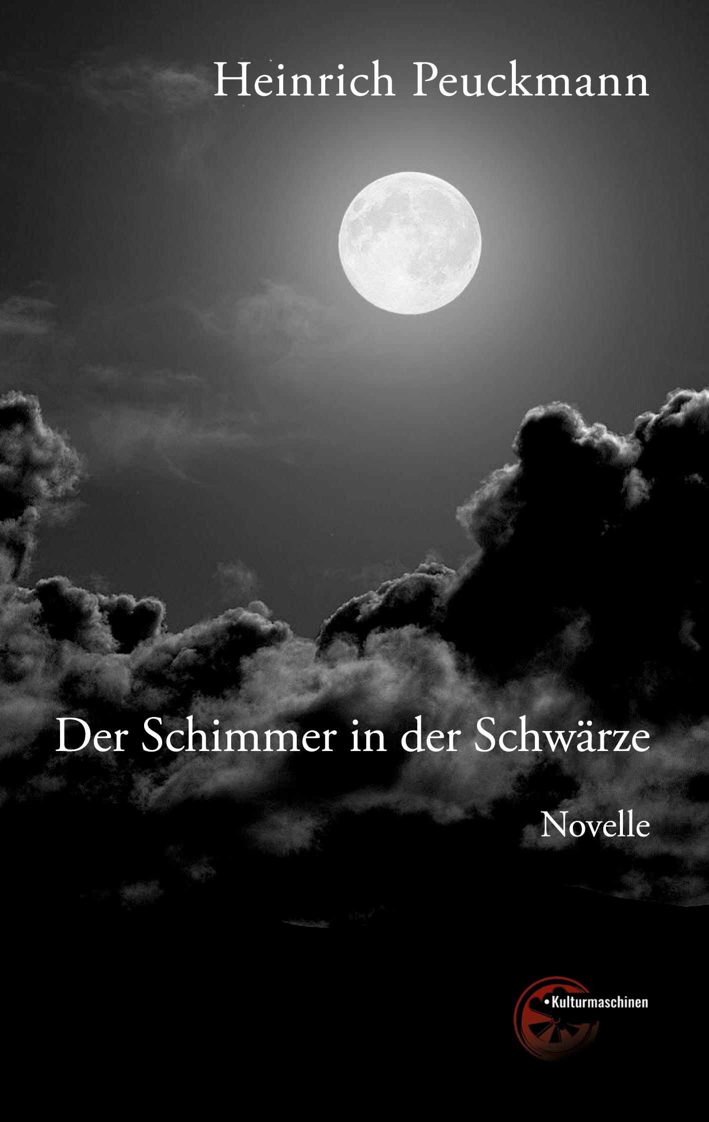 Vorderes Coverbild Der Schimmer in der Schwärze