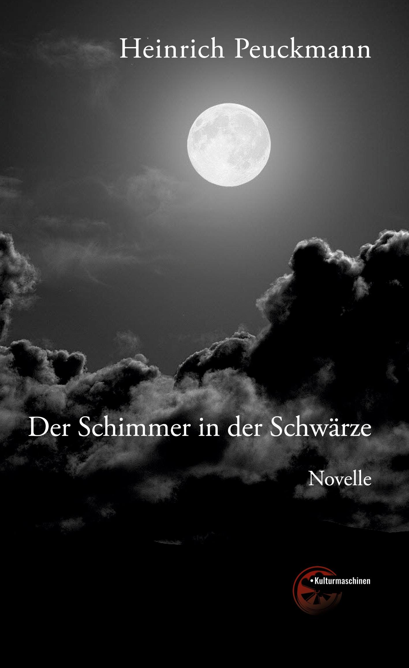 Vorderes Coverbild Der Schimmer in der Schwärze
