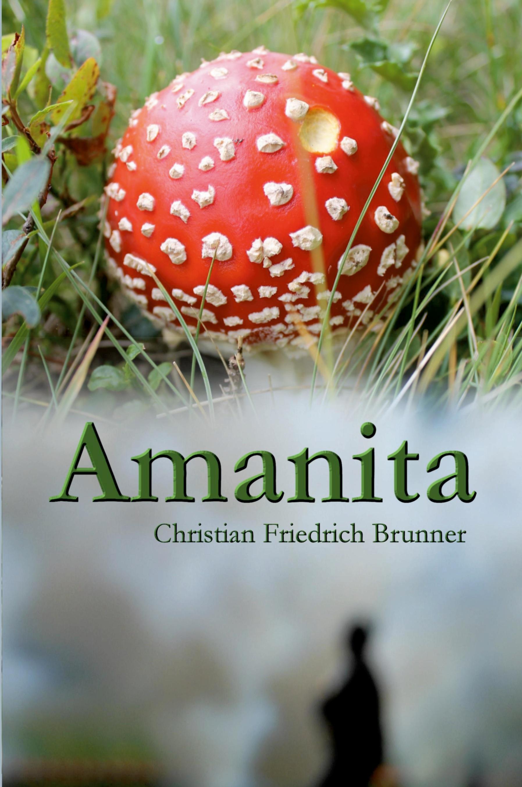Vorderes Coverbild Amanita