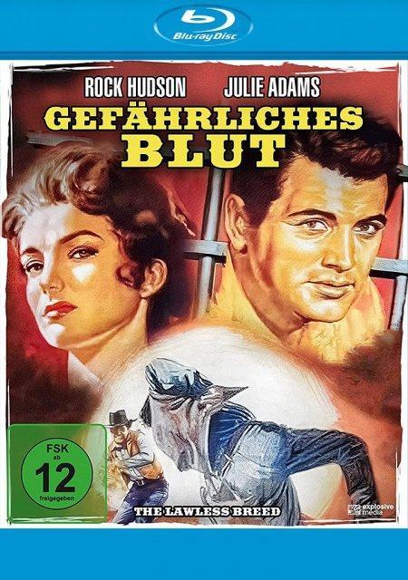 Vorderes Coverbild Gefährliches Blut
