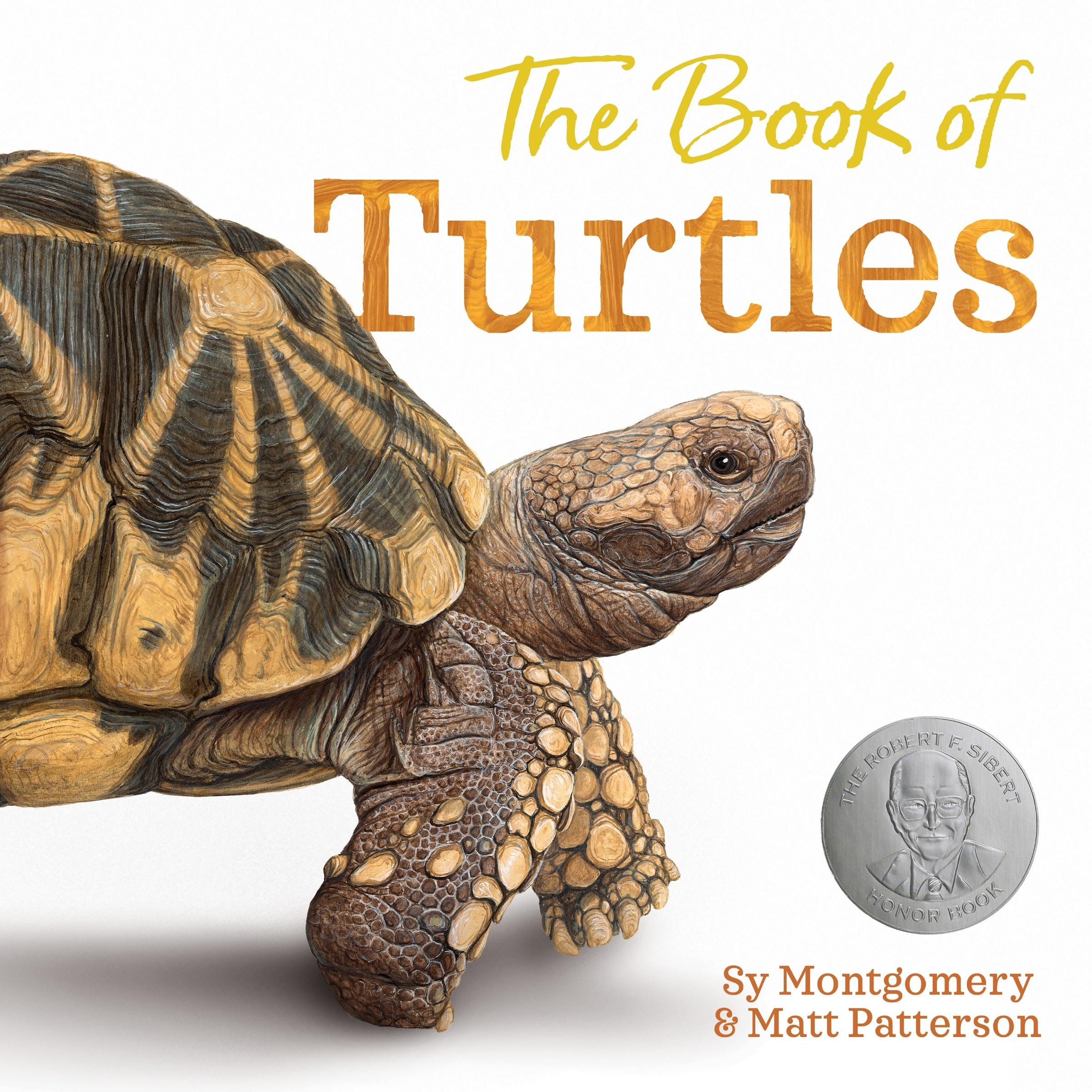 Vorderes Coverbild The Book of Turtles
