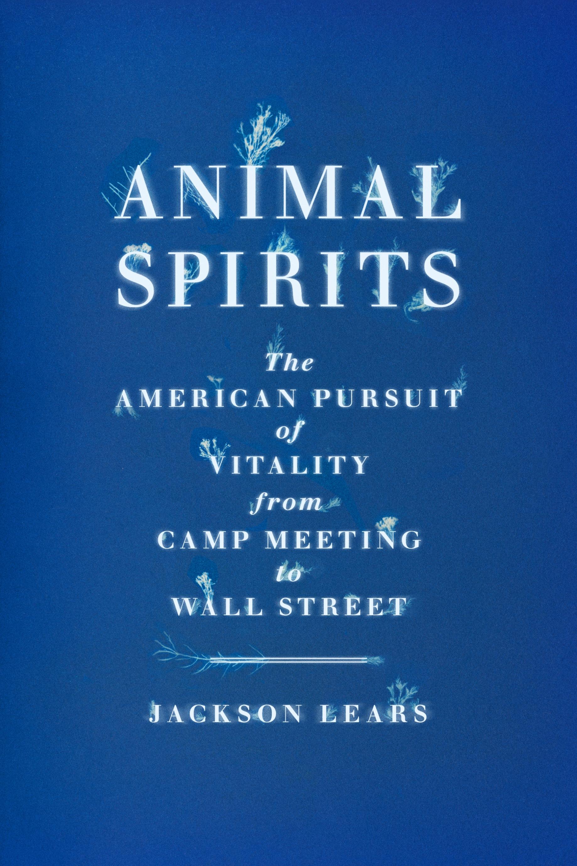 Vorderes Coverbild Animal Spirits