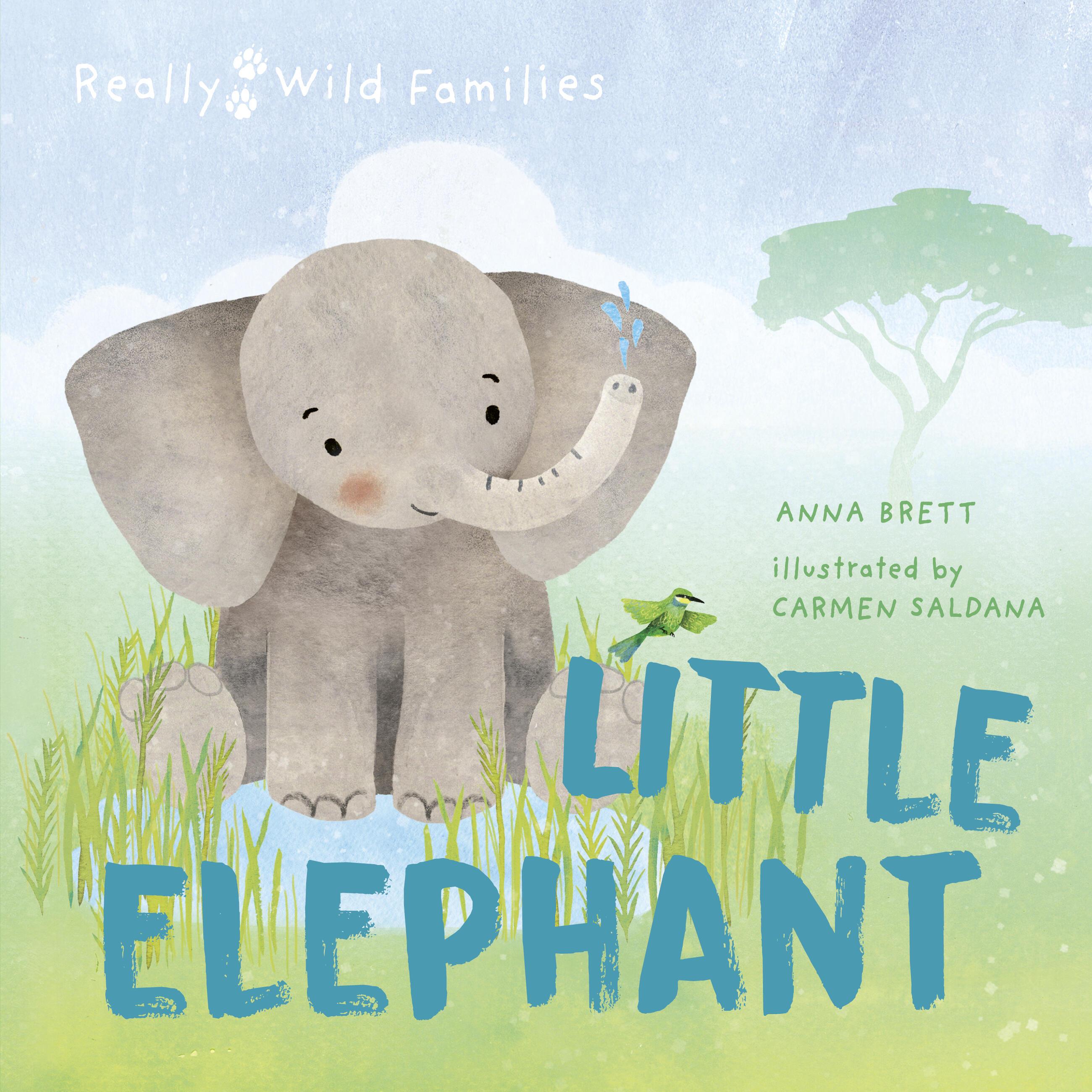 Vorderes Coverbild Little Elephant