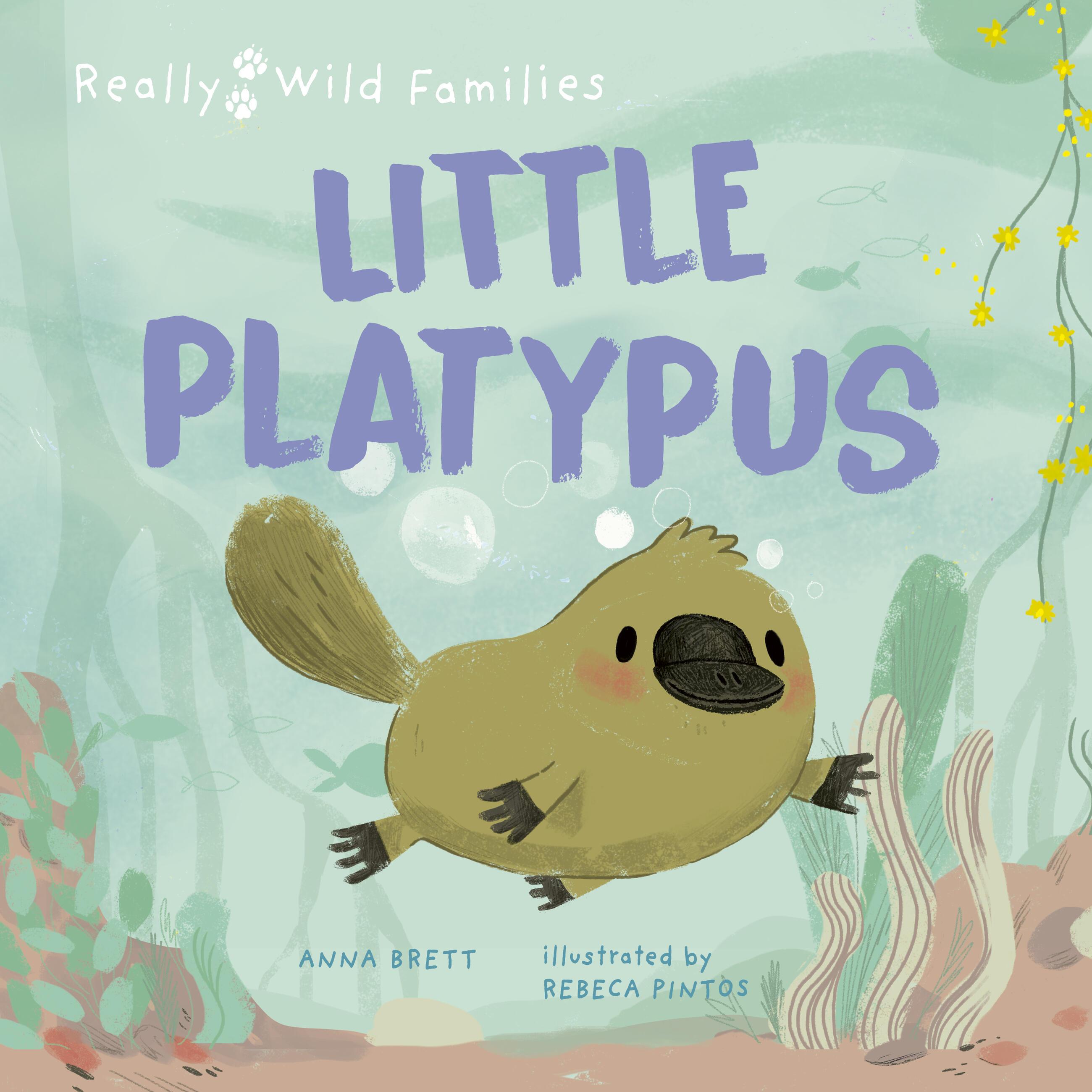 Vorderes Coverbild Little Platypus