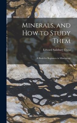 Vorderes Coverbild Minerals, and How to Study Them