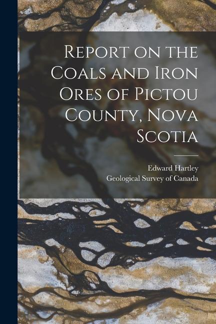 Vorderes Coverbild Report on the Coals and Iron Ores of Pictou County, Nova Scotia [microform]