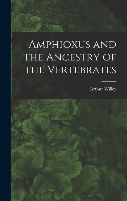 Vorderes Coverbild Amphioxus and the Ancestry of the Vertebrates [microform]