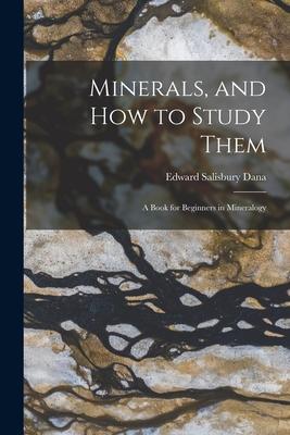 Vorderes Coverbild Minerals, and How to Study Them