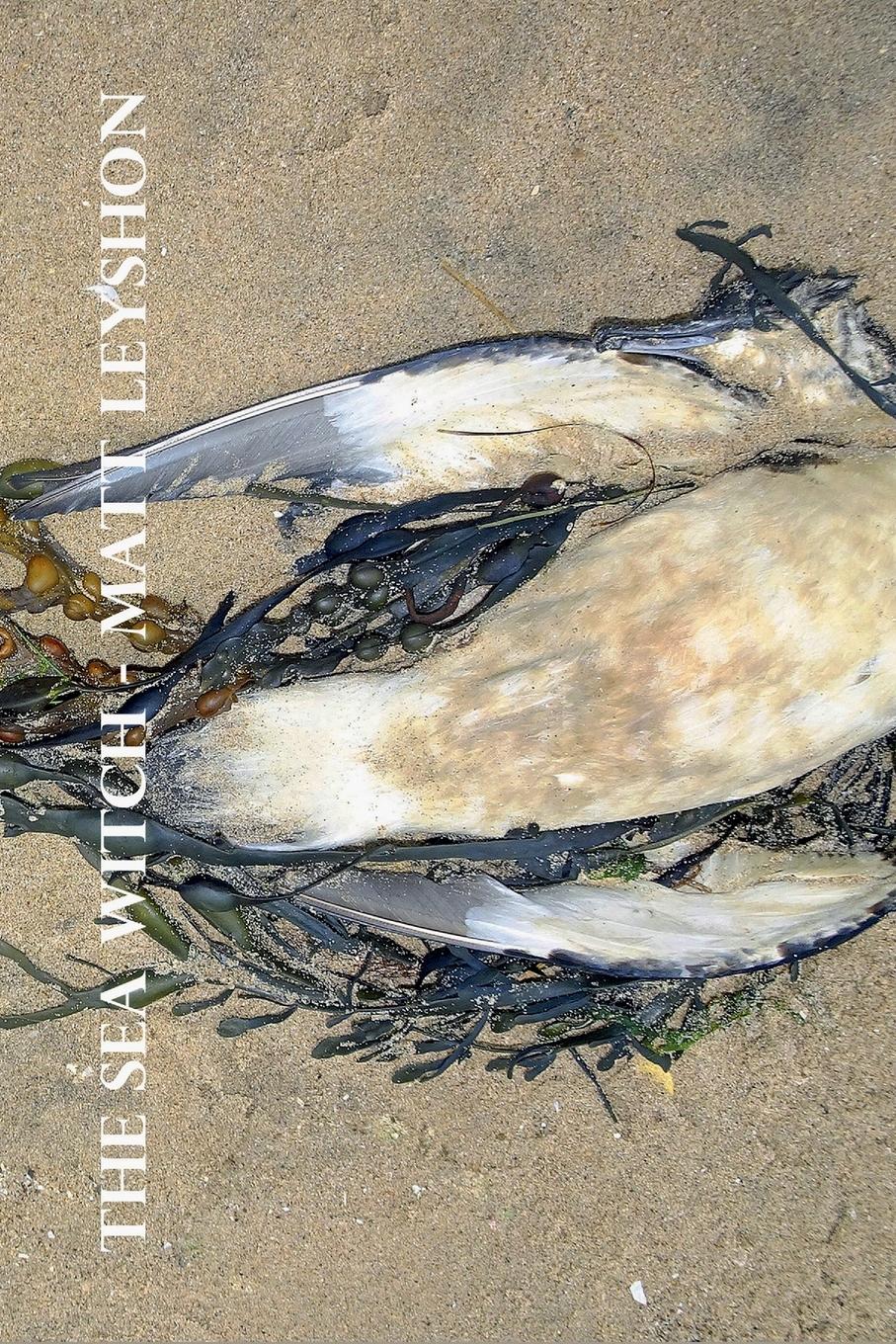 Vorderes Coverbild The Sea Witch