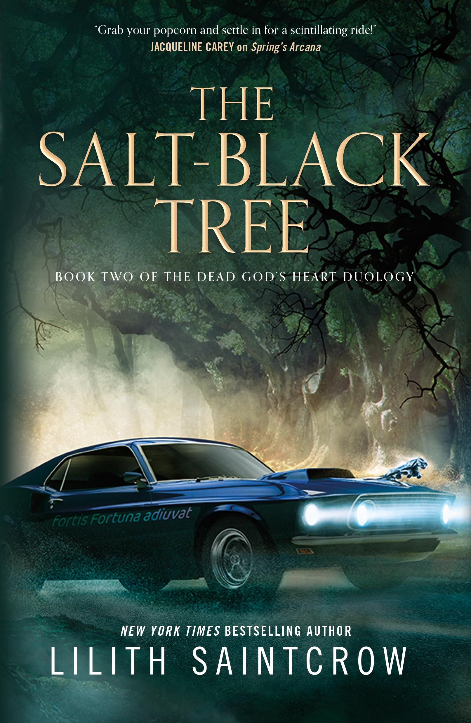 Vorderes Coverbild Salt-Black Tree