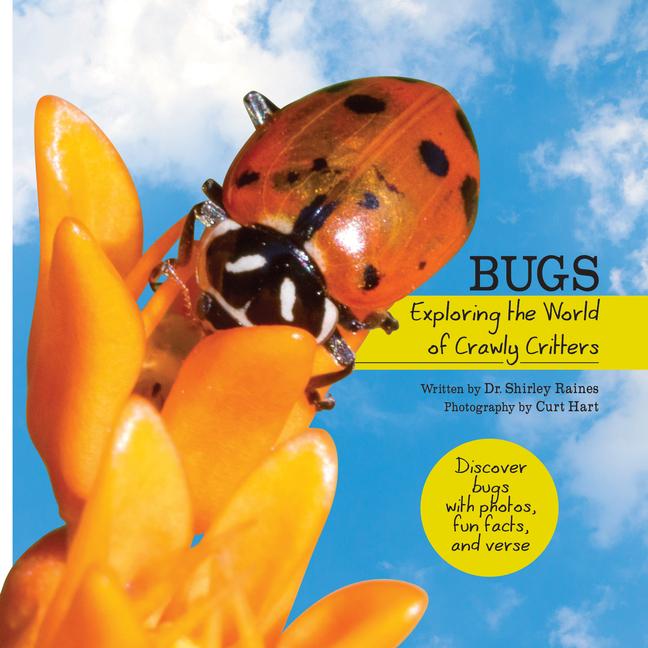 Vorderes Coverbild Bugs