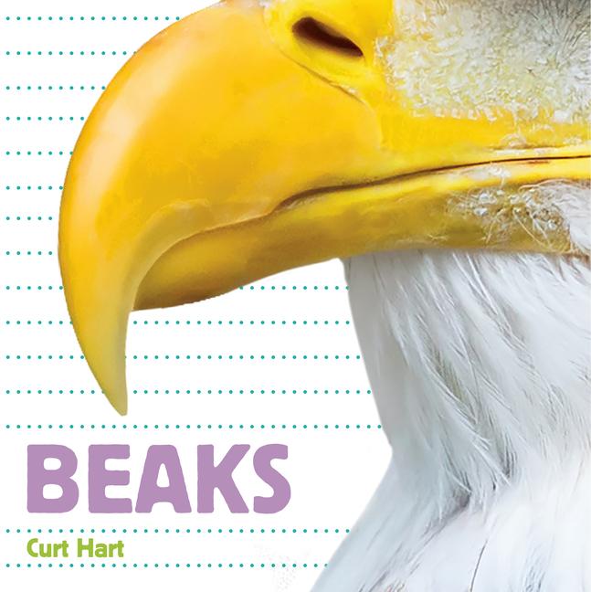 Vorderes Coverbild Beaks