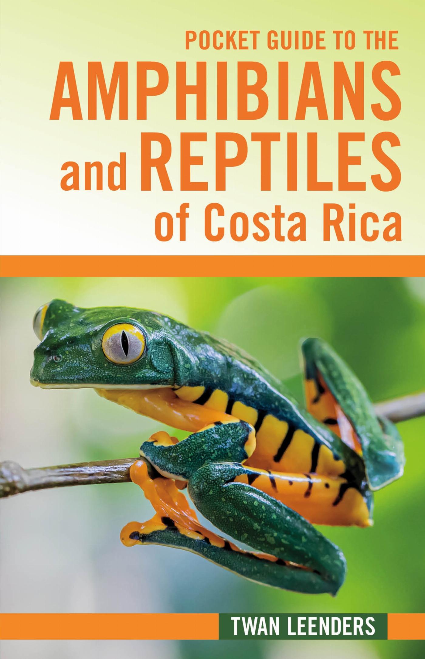 Vorderes Coverbild Pocket Guide to the Amphibians and Reptiles of Costa Rica