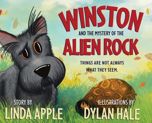 Vorderes Coverbild Winston and the Mystery of the Alien Rock