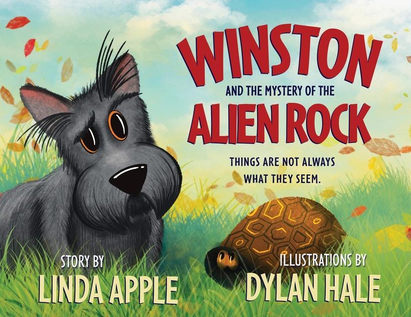 Vorderes Coverbild Winston and the Mystery of the Alien Rock
