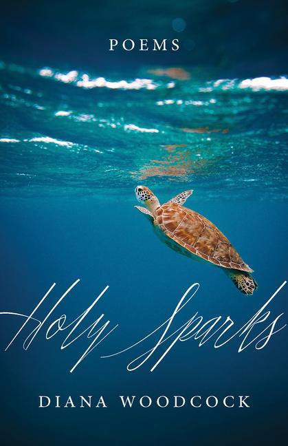 Vorderes Coverbild Holy Sparks