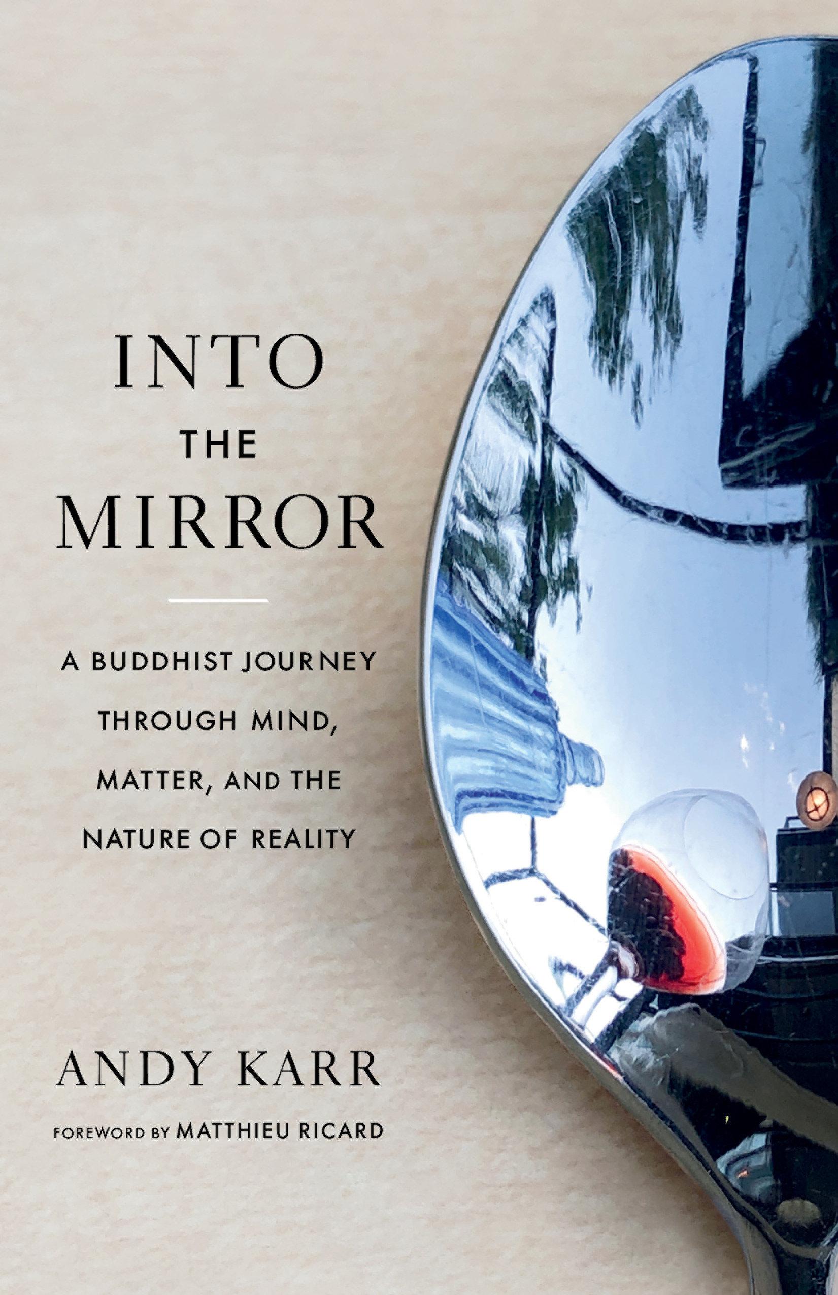 Vorderes Coverbild Into the Mirror