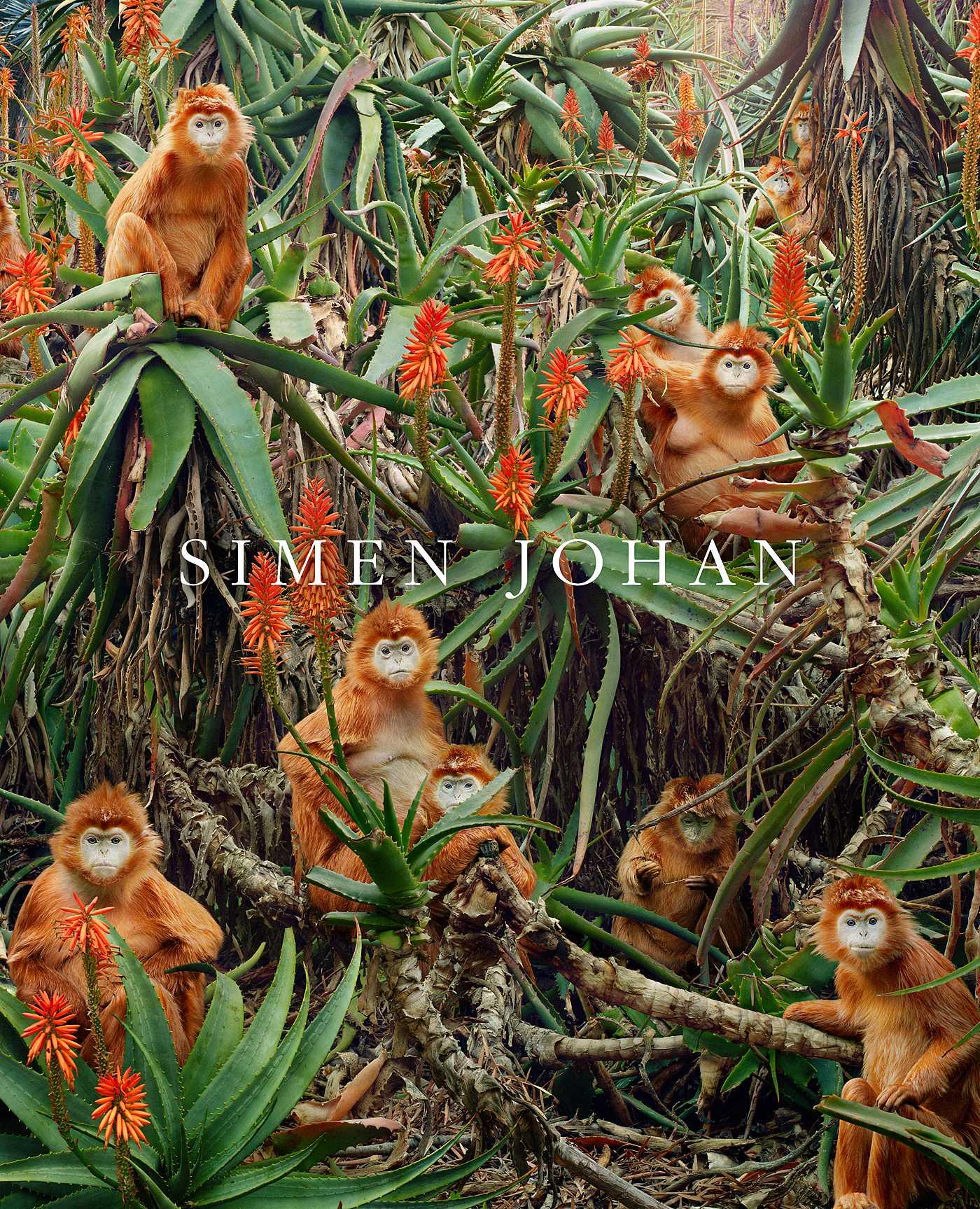 Vorderes Coverbild Simen Johan