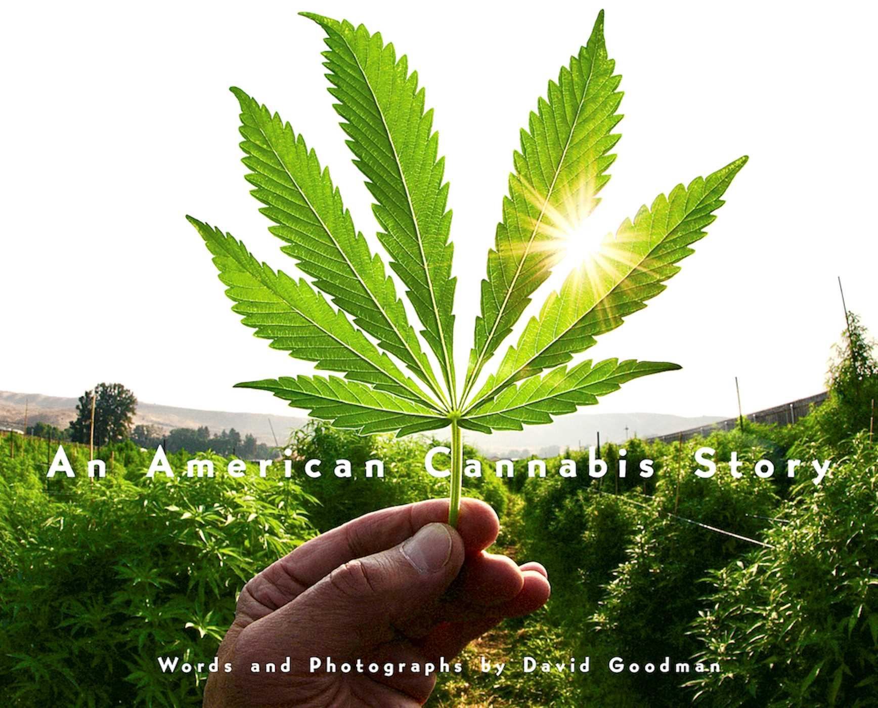 Vorderes Coverbild An American Cannabis Story