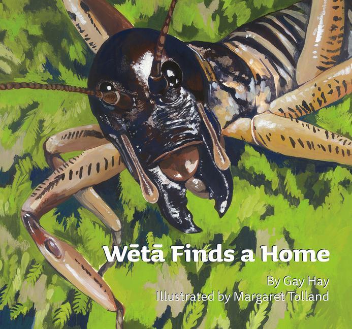 Vorderes Coverbild Weta Finds a Home