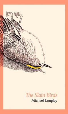 Vorderes Coverbild The Slain Birds