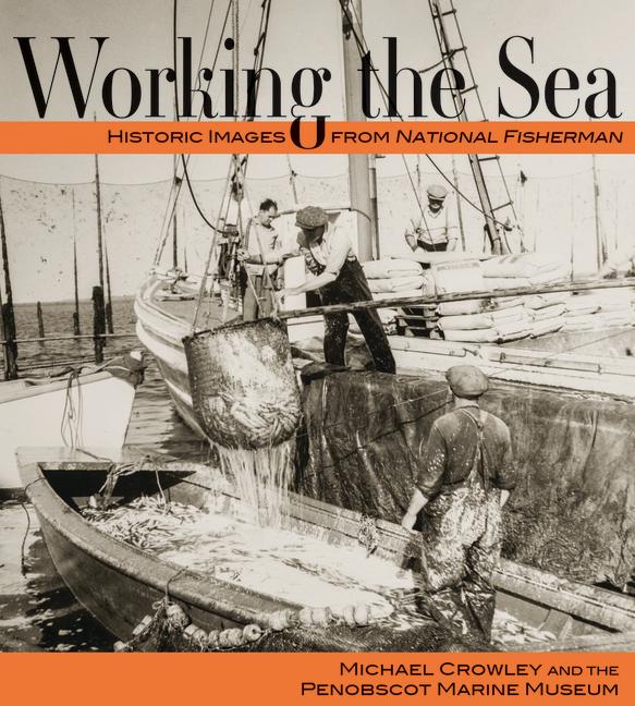 Vorderes Coverbild Working the Sea