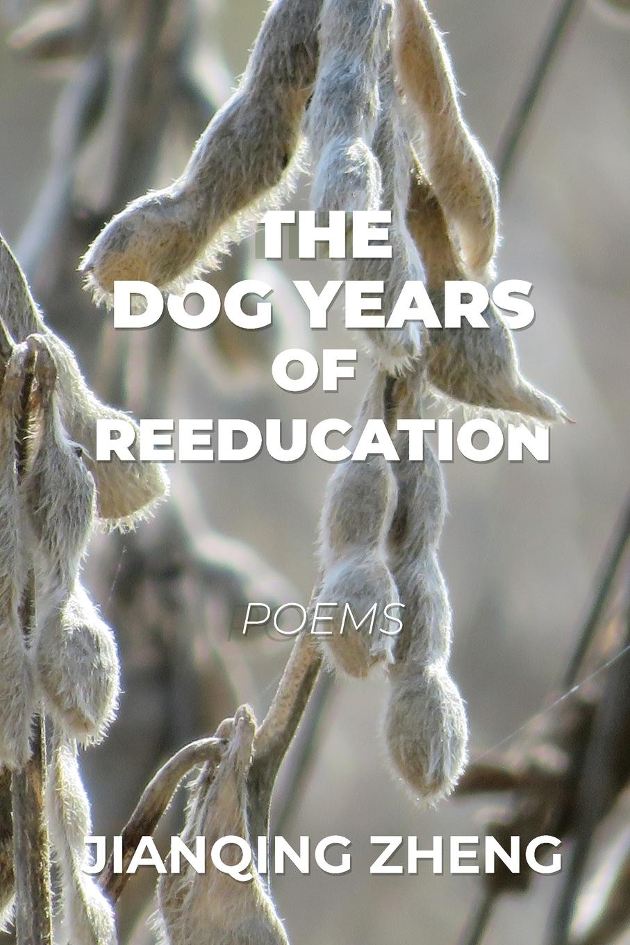 Vorderes Coverbild The Dog Years of Reeducation