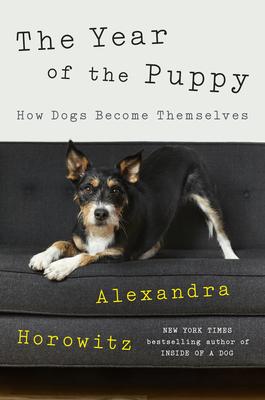 Vorderes Coverbild The Year of the Puppy