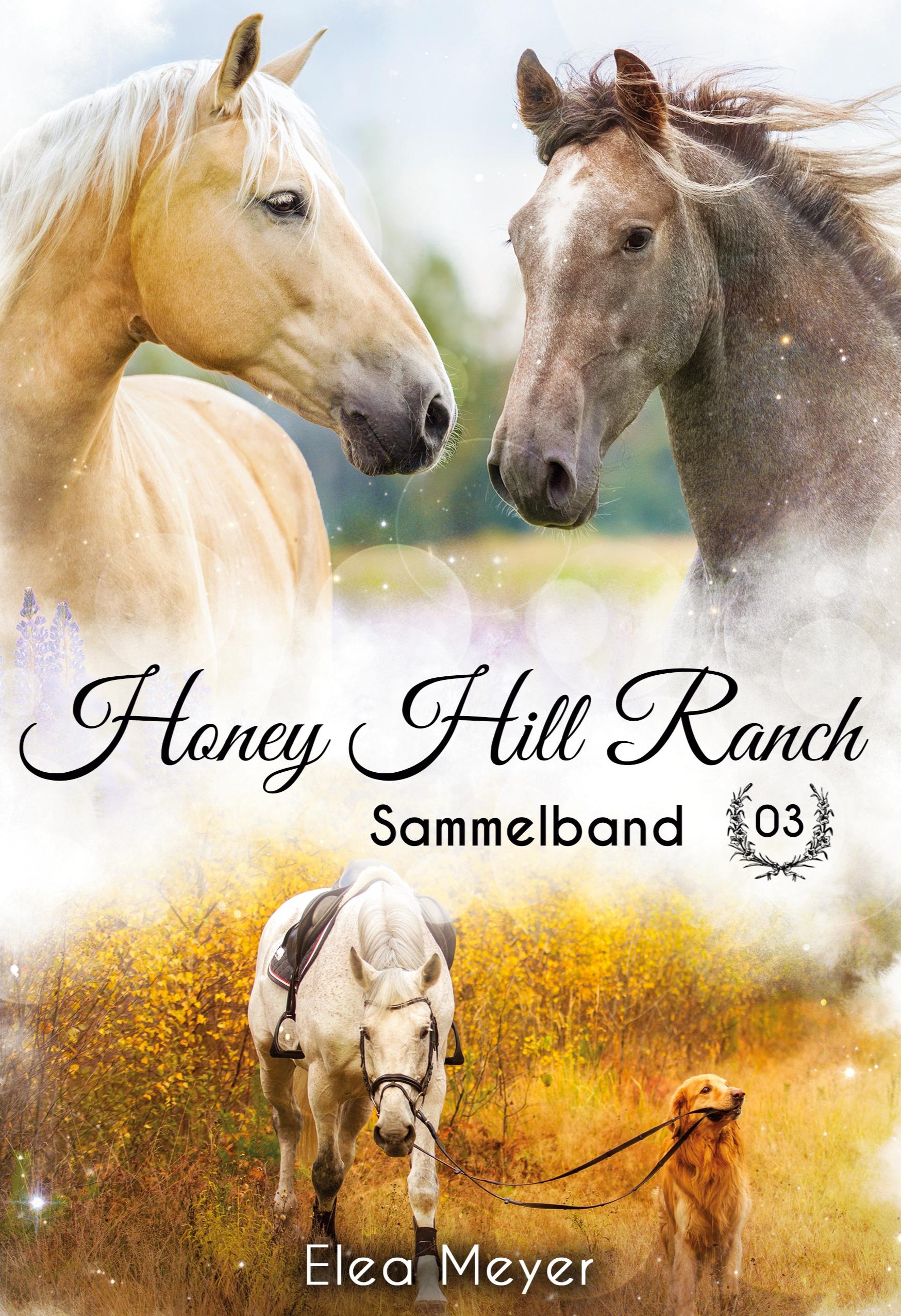 Vorderes Coverbild Honey Hill Ranch