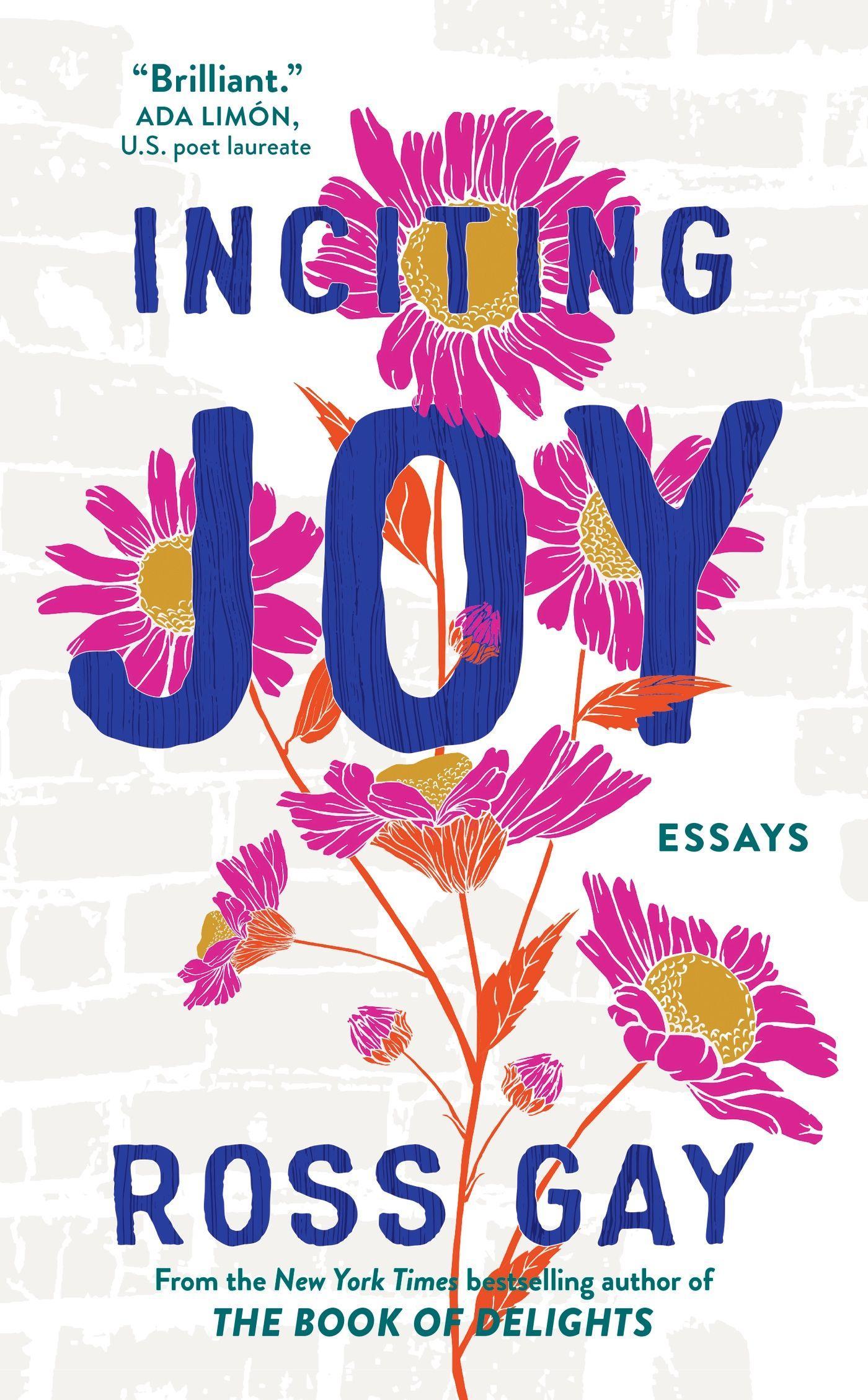 Vorderes Coverbild Inciting Joy