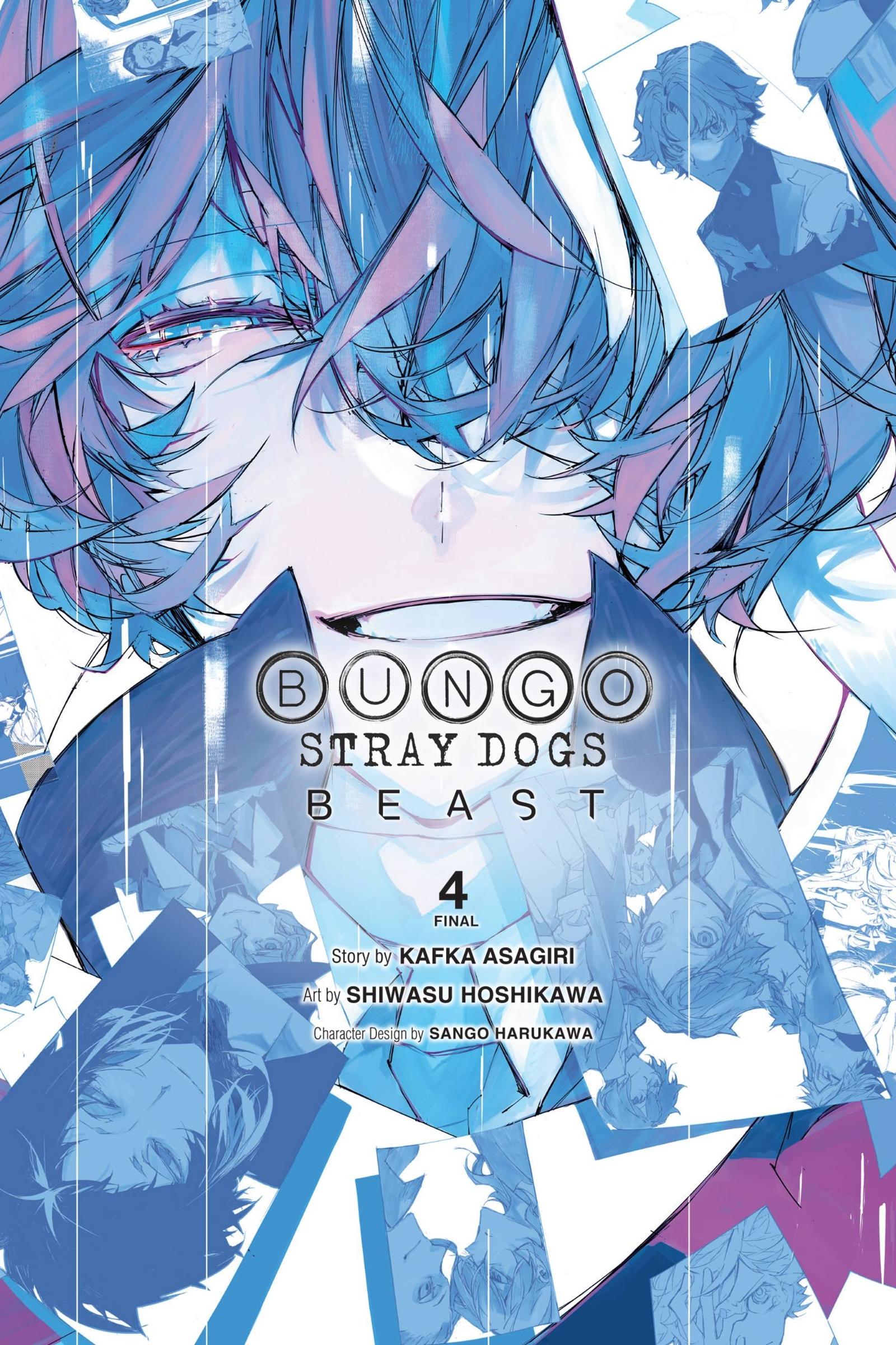 Vorderes Coverbild Bungo Stray Dogs: Beast, Vol. 4