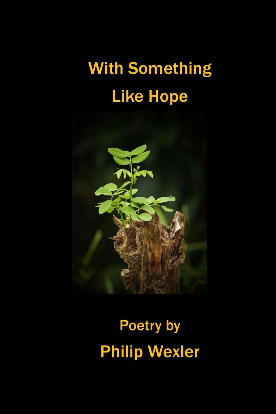 Vorderes Coverbild With Something Like Hope