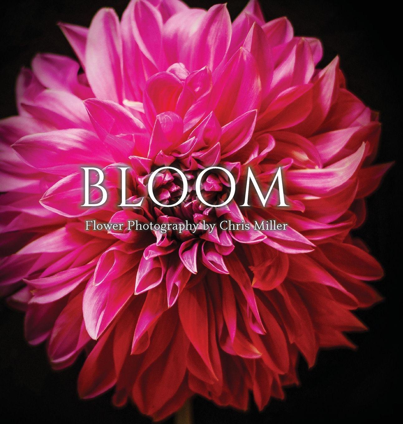 Vorderes Coverbild Bloom