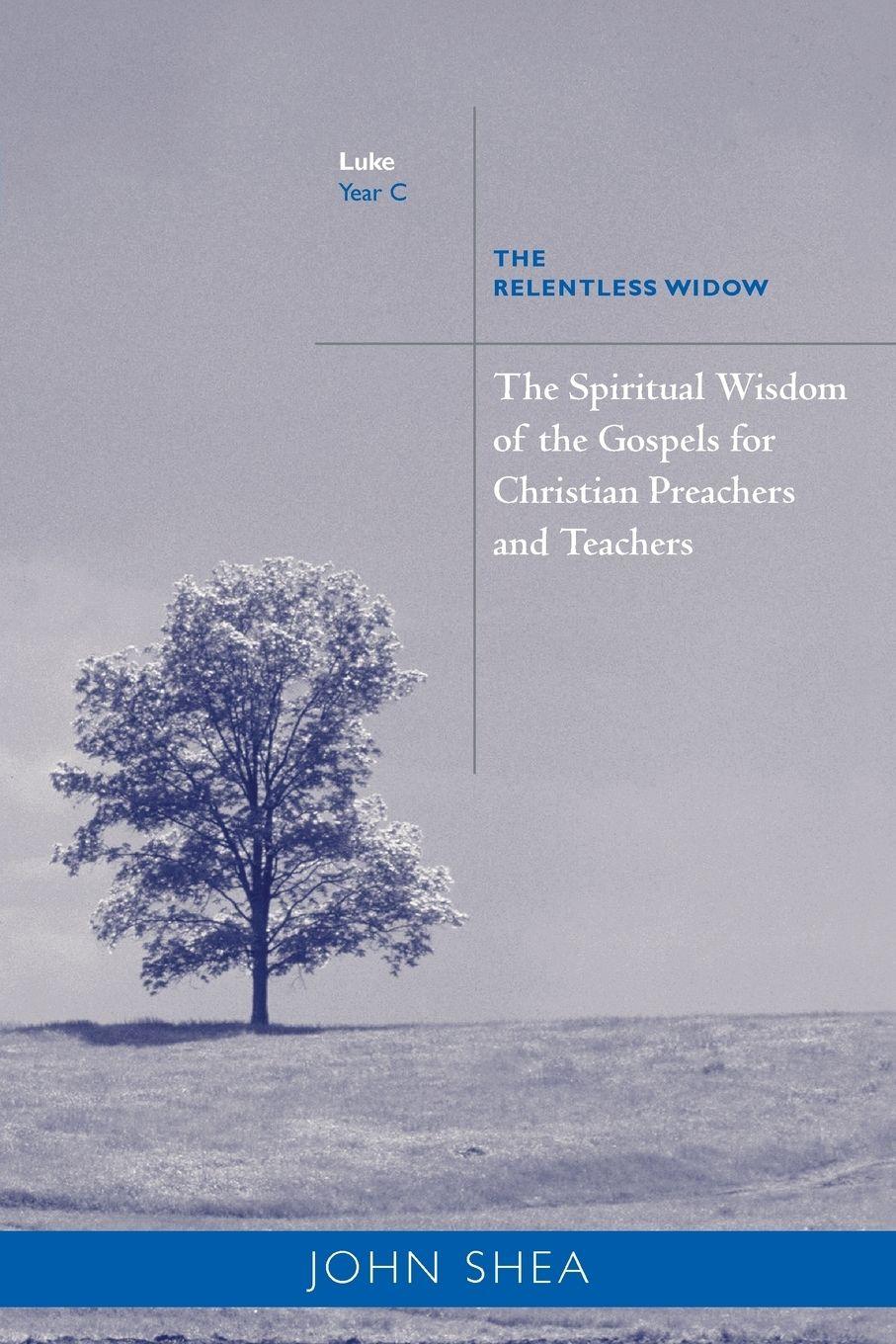 Vorderes Coverbild Spiritual Wisdom of Gospels for Christian Preachers and Teachers