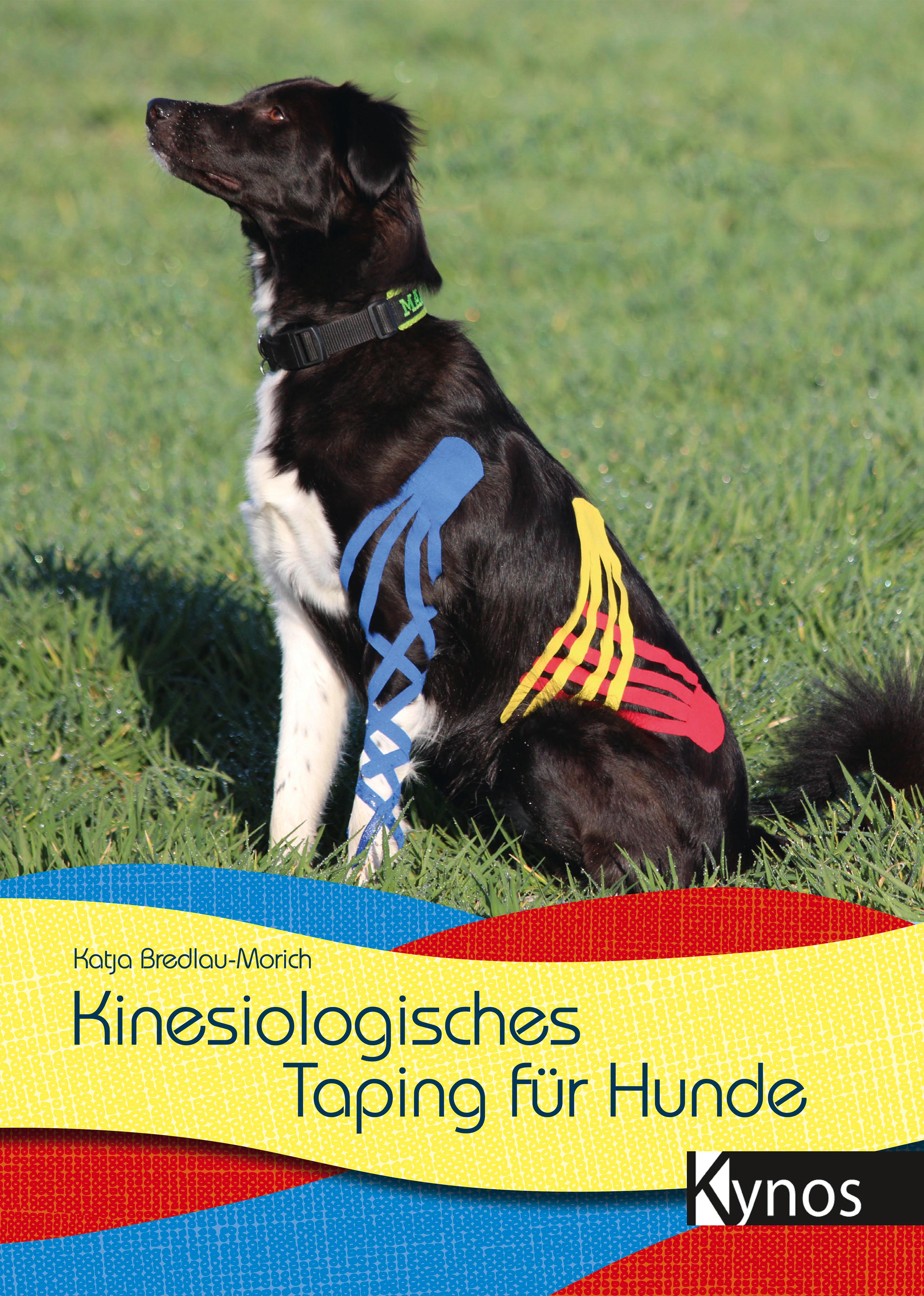 Vorderes Coverbild Kinesiologisches Taping für Hunde