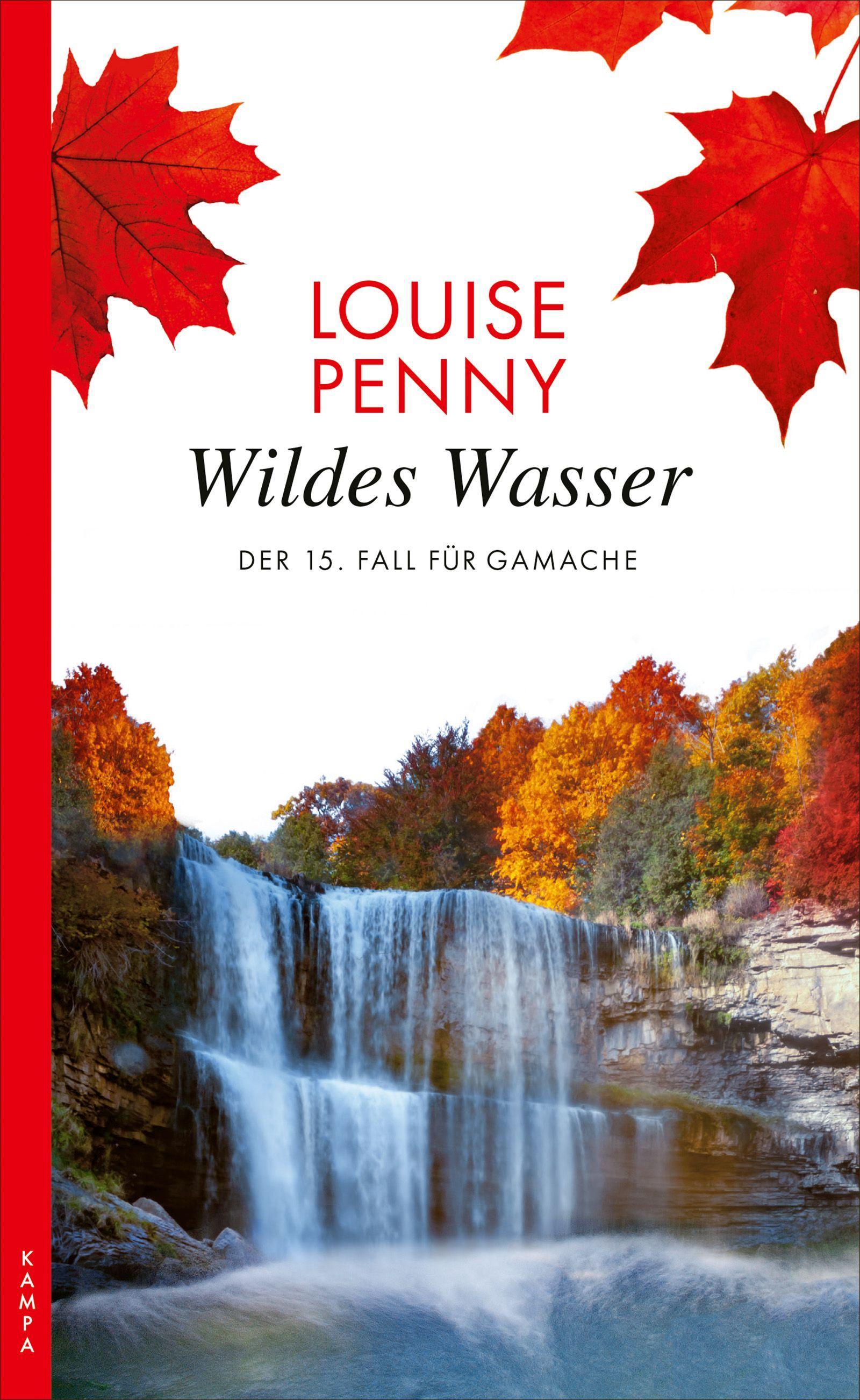 Vorderes Coverbild Wildes Wasser