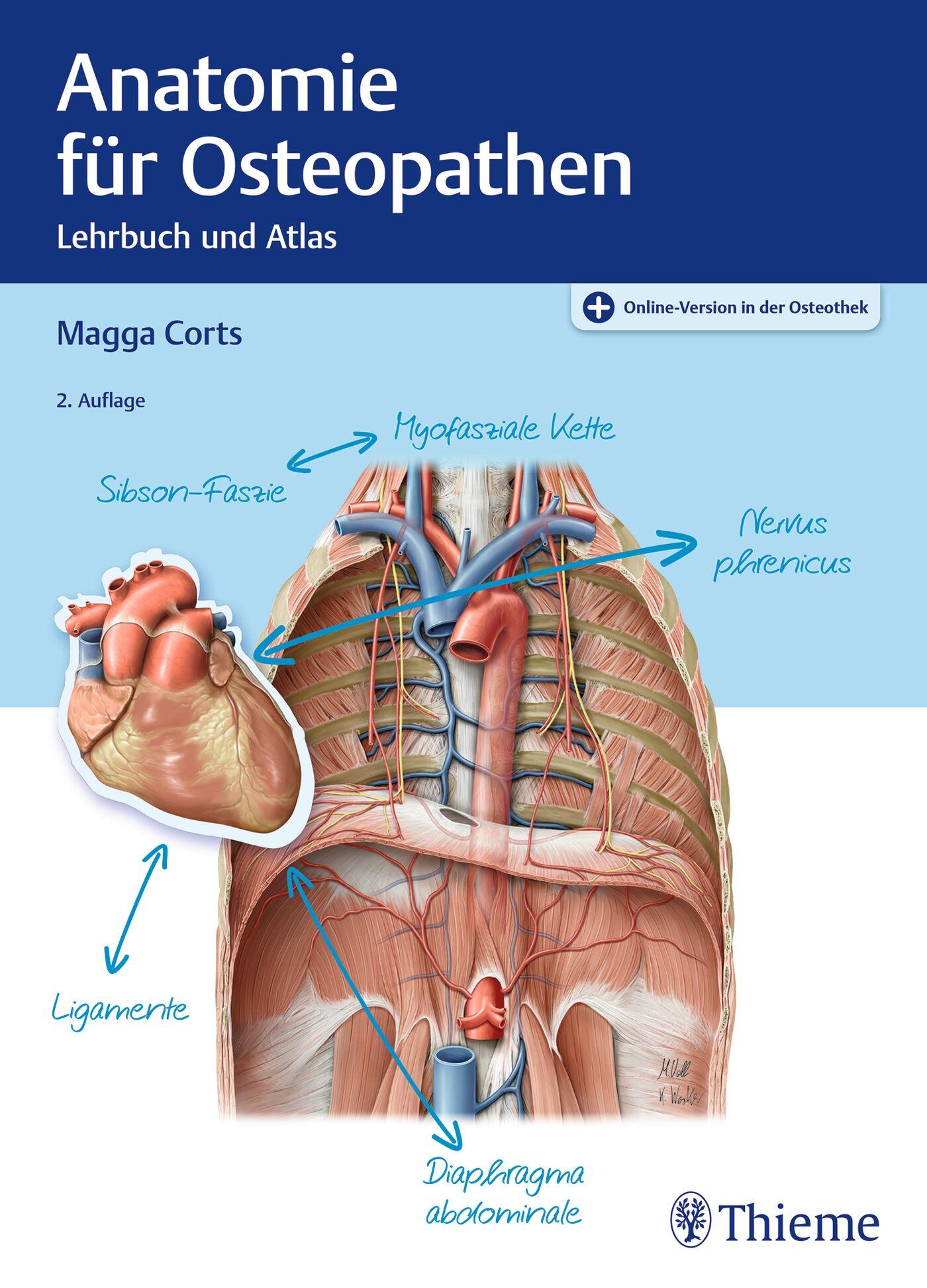 Vorderes Coverbild Anatomie für Osteopathen