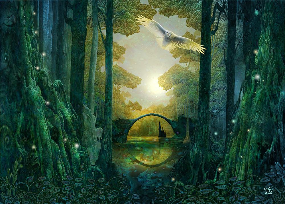 Vorderes Coverbild Anderswald